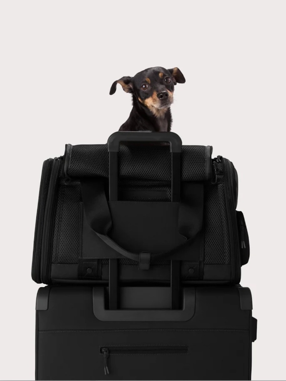 Dagne Dover Kyoto Pet Carrier bag - Onyx (Black), size L - Picture 4 of 11